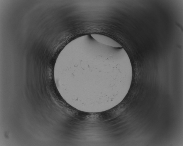 X0000103230362200809251309