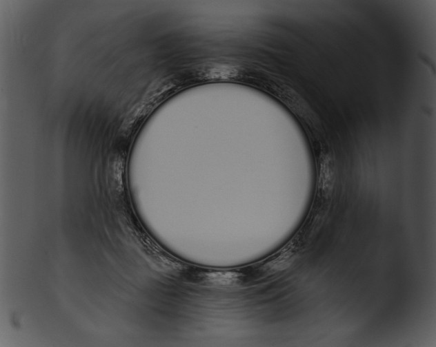 X0000103230363200809251309