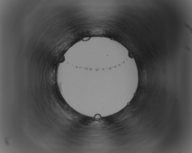 X0000103230364200809251309