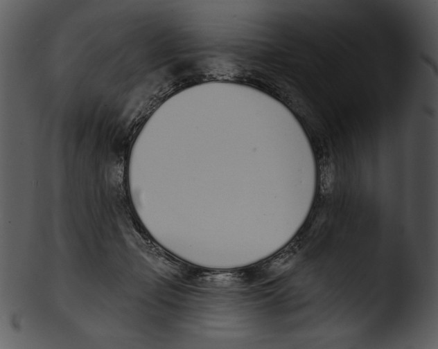 X0000103230365200809251309