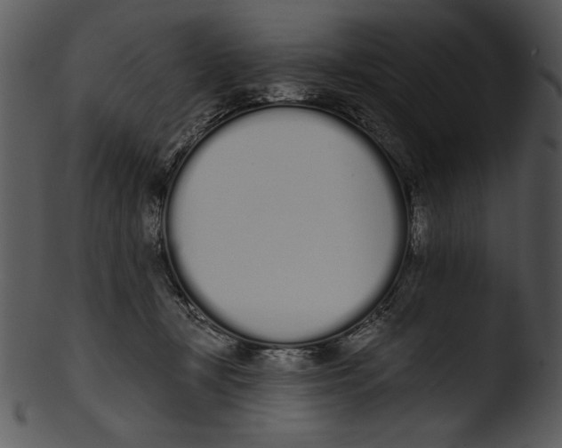 X0000103230367200809251310