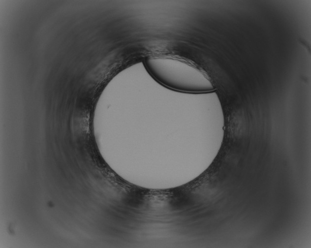 X0000103230368200809251310