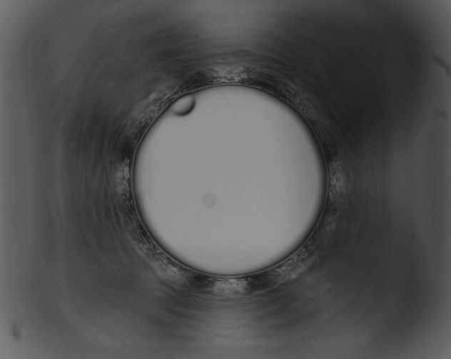 X0000103230369200809251310