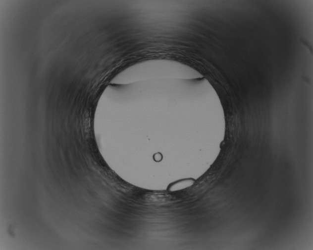 X0000103230372200809251310