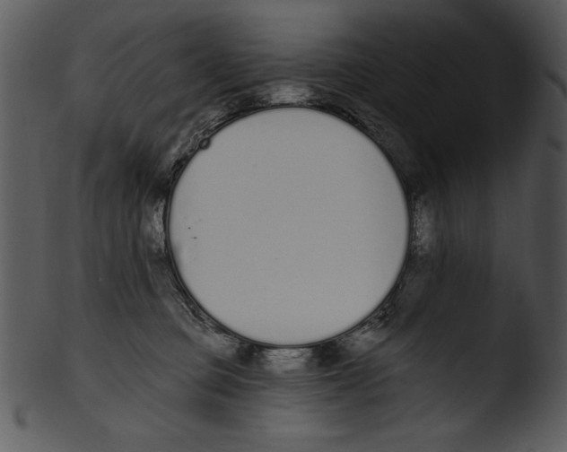X0000103230373200809251310