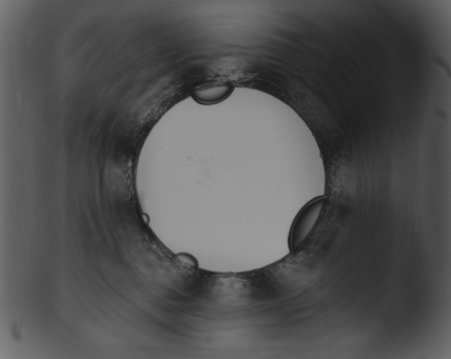 X0000103230376200809251310