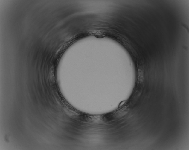 X0000103230377200809251310
