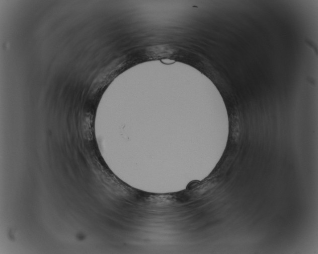 X0000103230378200809251310
