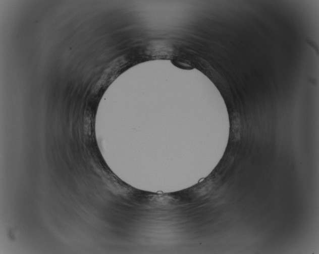 X0000103230379200809251310