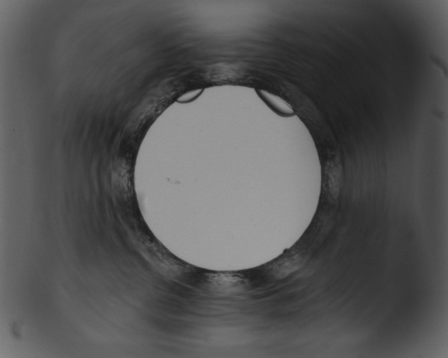 X0000103230380200809251310