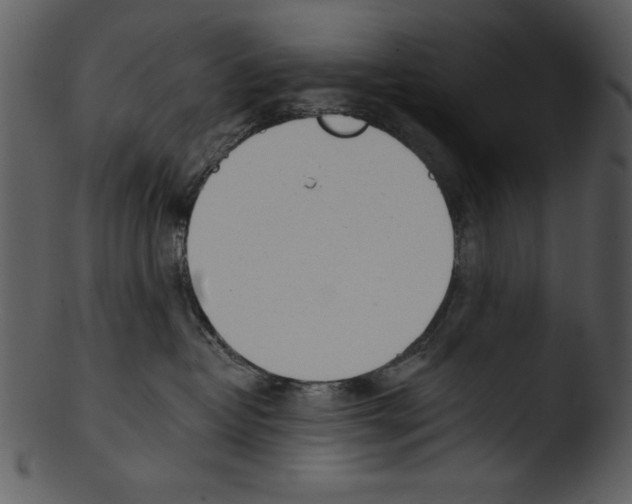 X0000103230382200809251310