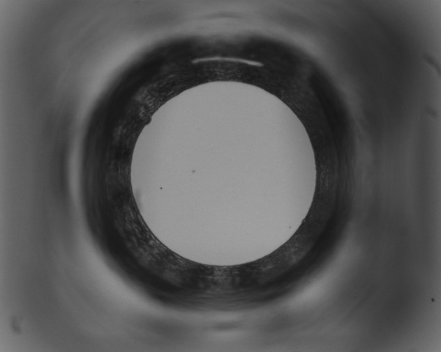 X0000103230383200809251310