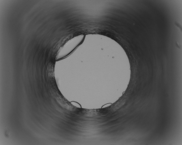 X0000103230384200809251310