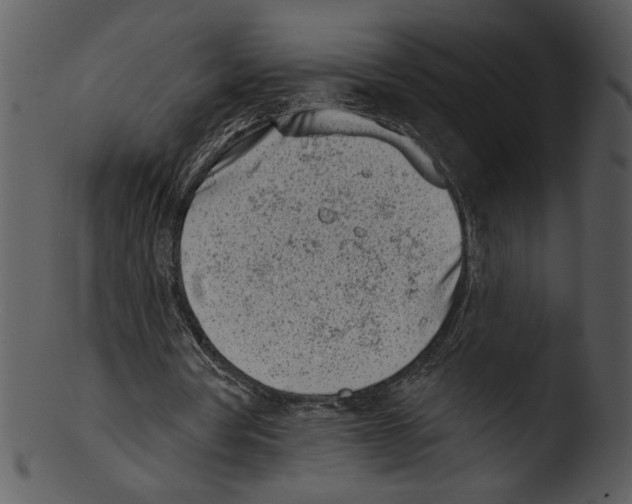 X0000103230386200809251309