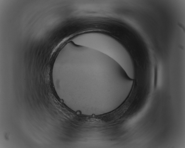 X0000103230387200809251309
