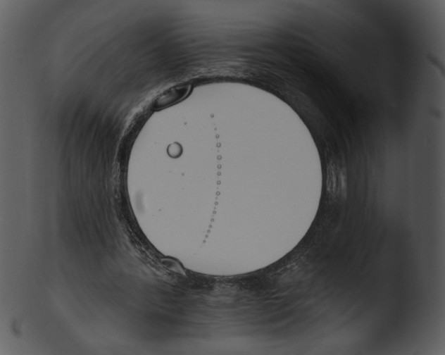 X0000103230388200809251309
