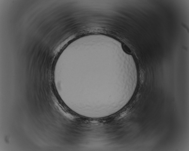 X0000103230390200809251309