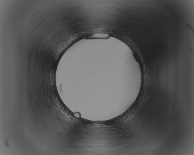X0000103230393200809251309