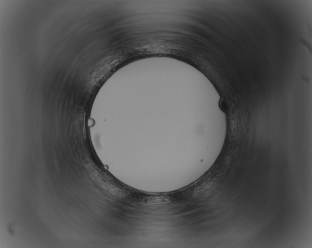 X0000103230398200809251309