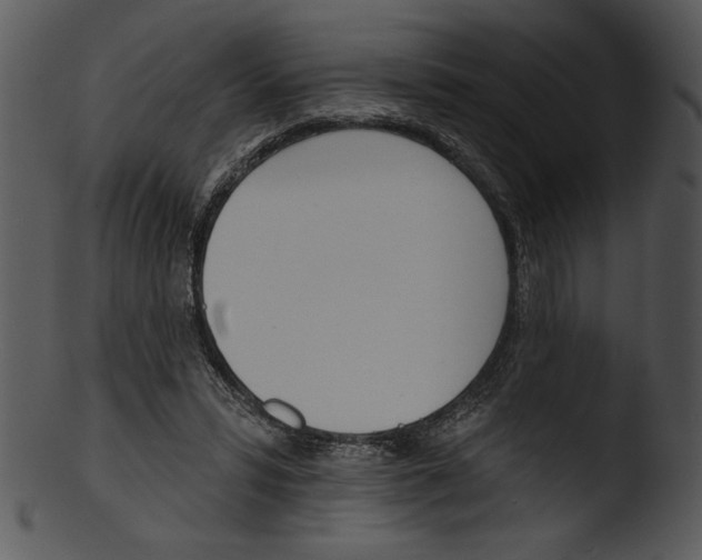 X0000103230399200809251309