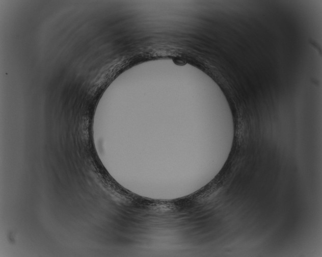 X0000103230402200809251309
