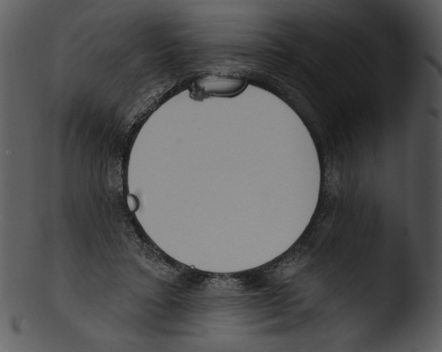 X0000103230403200809251308