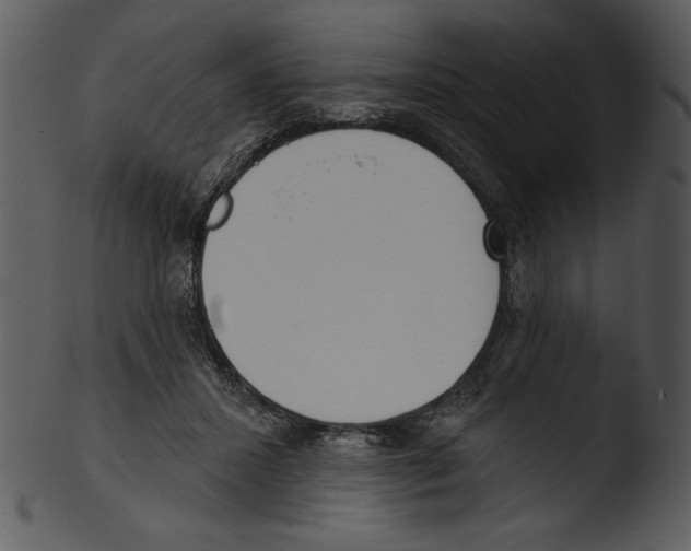 X0000103230407200809251308