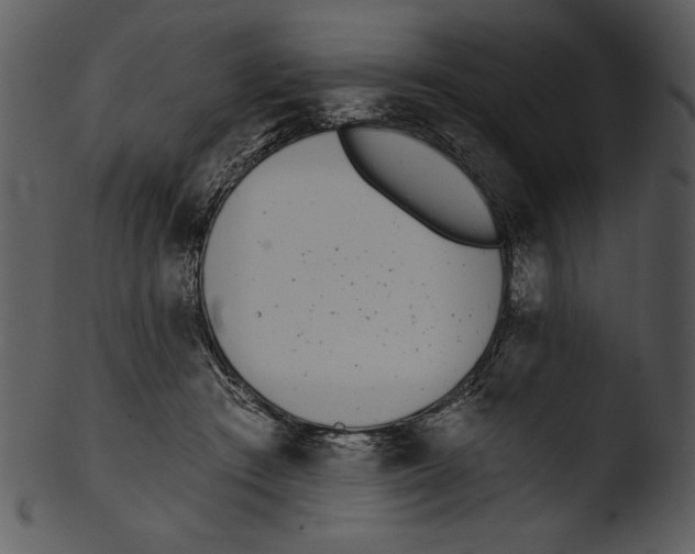 X0000103230409200809251308
