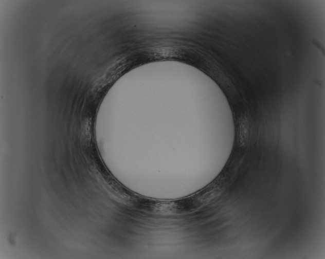 X0000103230410200809251308