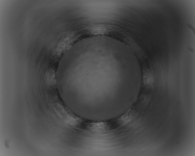 X0000103230411200809251308