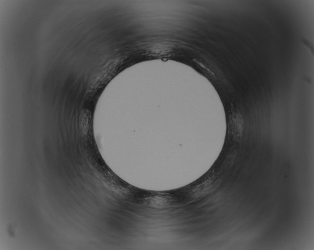 X0000103230412200809251308