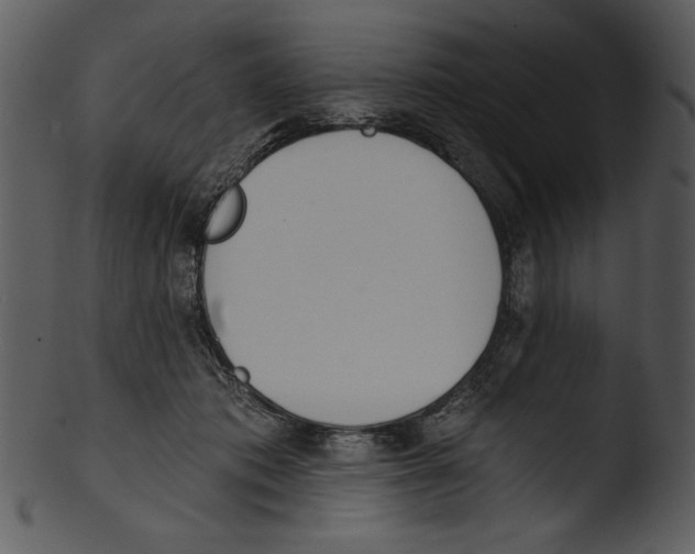 X0000103230413200809251308