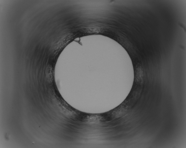 X0000103230414200809251308