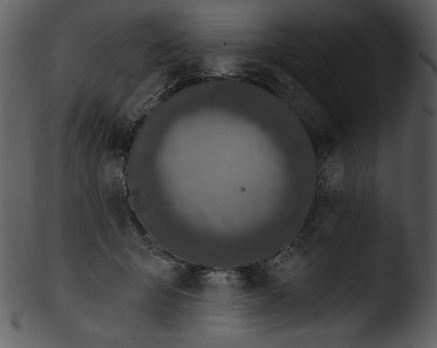 X0000103230415200809251308
