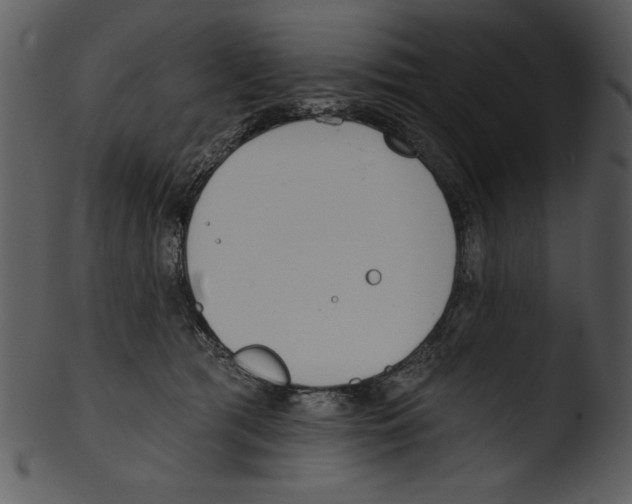 X0000103230417200809251308