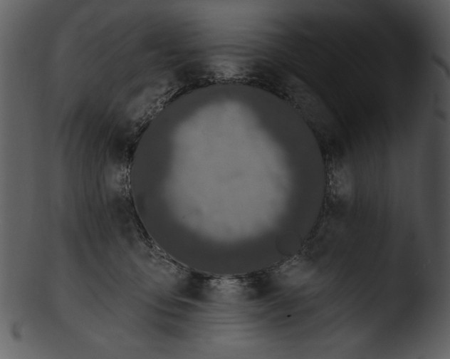X0000103230419200809251308