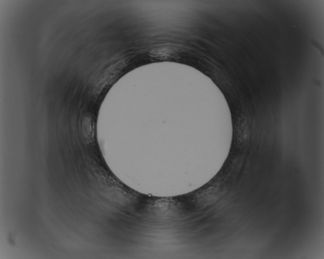 X0000103230420200809251308