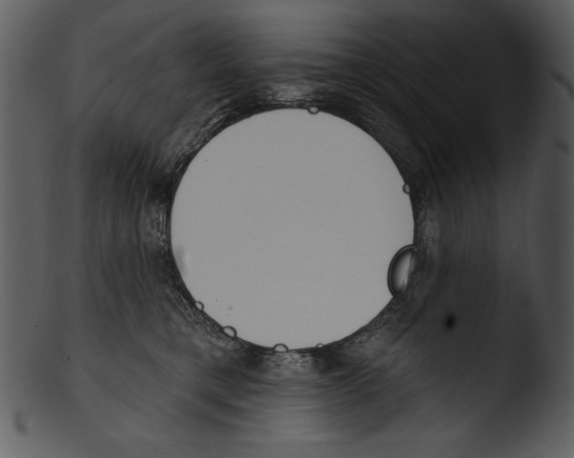 X0000103230421200809251308