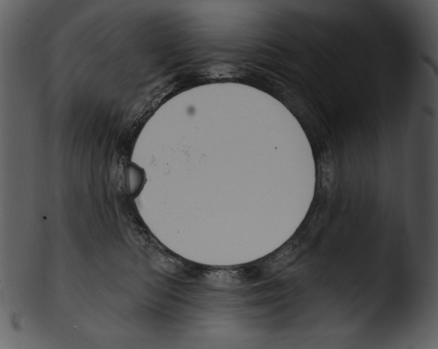 X0000103230422200809251308