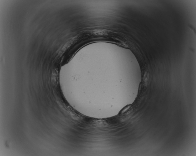 X0000103230424200809251308