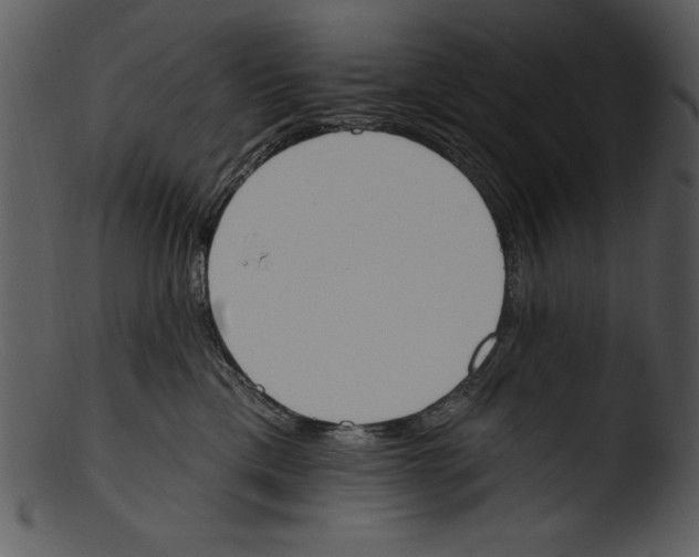 X0000103230425200809251308