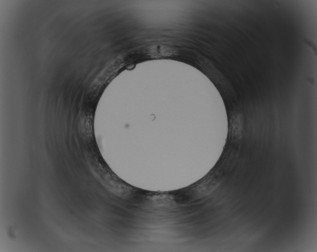X0000103230426200809251308