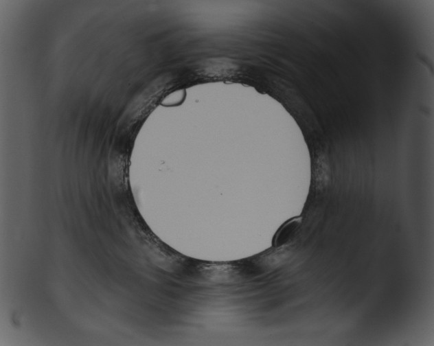 X0000103230428200809251308