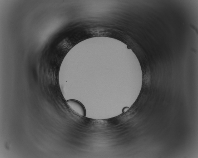X0000103230429200809251308
