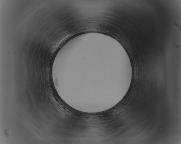 X0000103230434200809251307