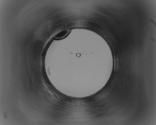 X0000103230435200809251307