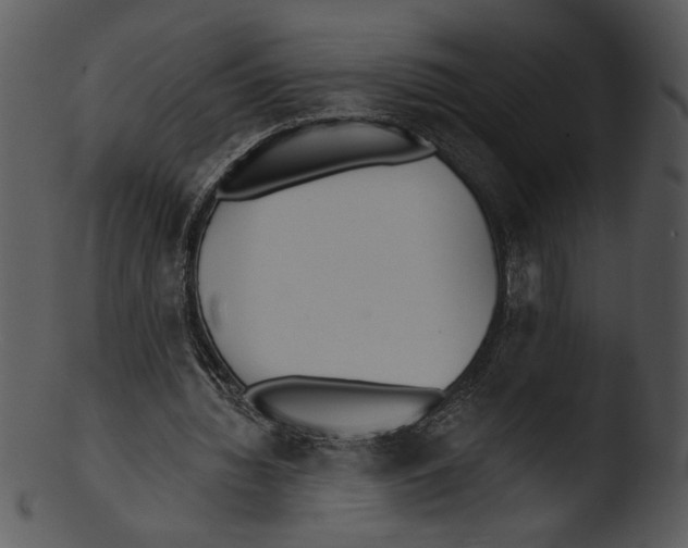 X0000103230436200809251307