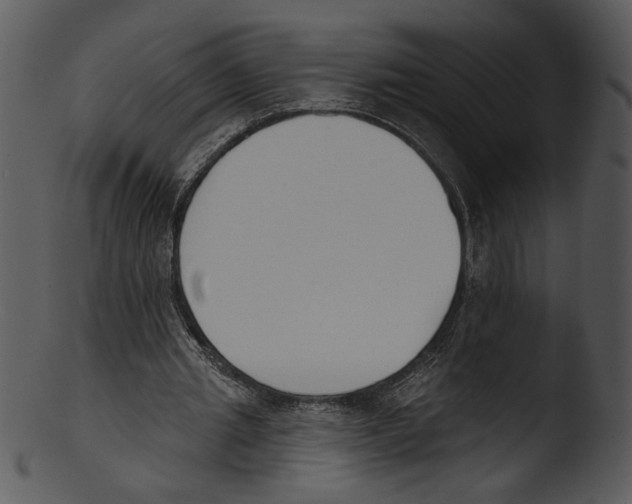 X0000103230437200809251307