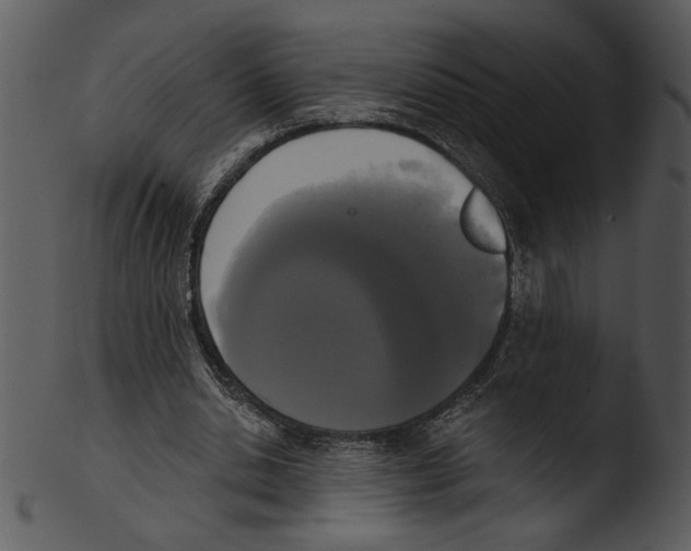 X0000103230438200809251307