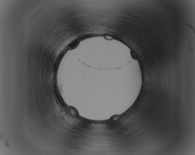X0000103230440200809251307